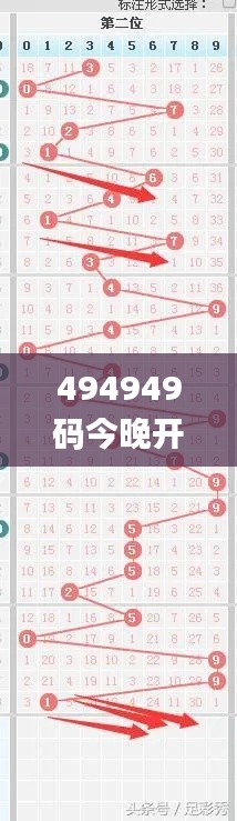 494949码今晚开奖记录,全面分析说明_理财版1.420