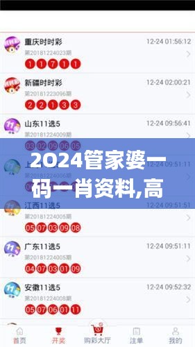 2O24管家婆一码一肖资料,高效实施设计策略_基础版5.487