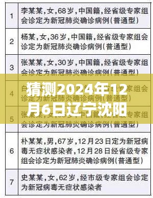 辽宁沈阳最新确诊病例预测与应对策略，初学者与进阶用户指南（预测至2024年12月）