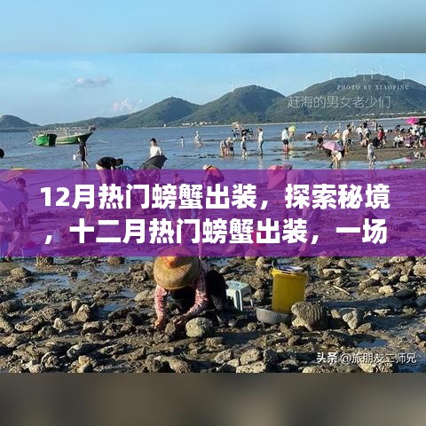 十二月螃蟹出装大热！探索秘境，开启平静螃蟹旅行记