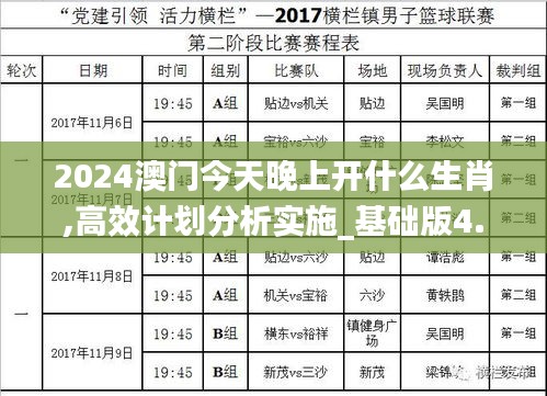 2024澳门今天晚上开什么生肖,高效计划分析实施_基础版4.408