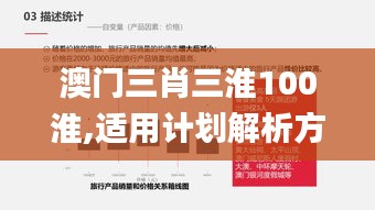 澳门三肖三淮100淮,适用计划解析方案_专属版7.165