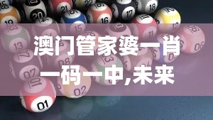 澳门管家婆一肖一码一中,未来展望解析说明_NE版3.121