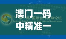 澳门一码中精准一码免费中特论坛,持续计划实施_交互版7.861