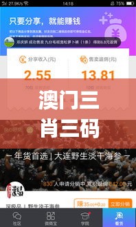 澳门三肖三码精准100%的背景和意义,权威诠释推进方式_V版3.888