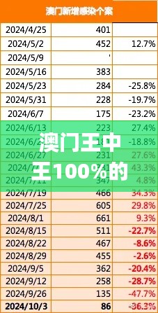 澳门王中王100%的资料2024年,数据导向执行解析_Surface2.725