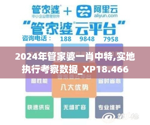 2024年管家婆一肖中特,实地执行考察数据_XP18.466