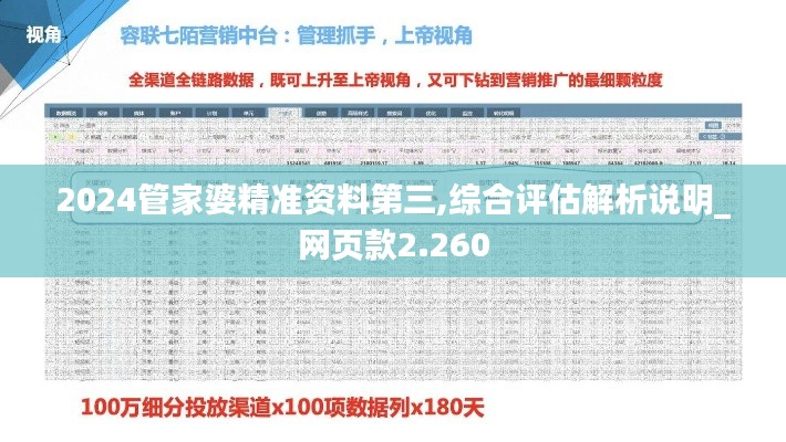 2024管家婆精准资料第三,综合评估解析说明_网页款2.260