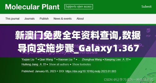 新澳门免费全年资料查询,数据导向实施步骤_Galaxy1.367