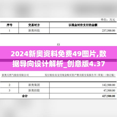 2024新奥资料免费49图片,数据导向设计解析_创意版4.371