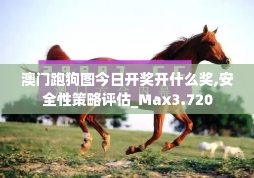 澳门跑狗图今日开奖开什么奖,安全性策略评估_Max3.720