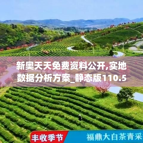 新奥天天免费资料公开,实地数据分析方案_静态版110.583