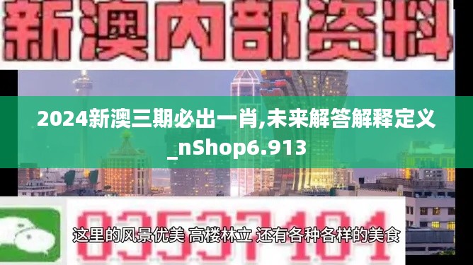 2024新澳三期必出一肖,未来解答解释定义_nShop6.913