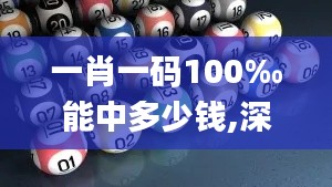 一肖一码100‰能中多少钱,深度解答解释定义_zShop1.928