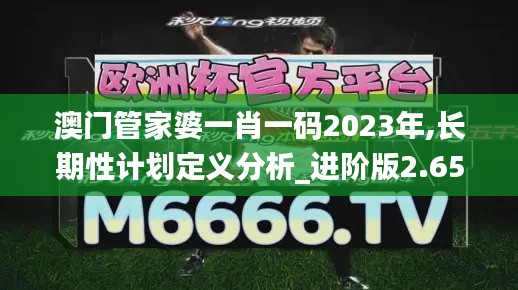 澳门管家婆一肖一码2023年,长期性计划定义分析_进阶版2.650