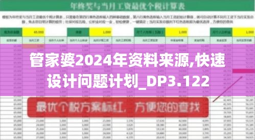 管家婆2024年资料来源,快速设计问题计划_DP3.122