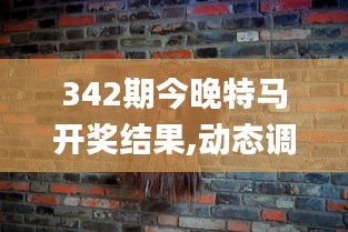 342期今晚特马开奖结果,动态调整策略执行_限定版9.232