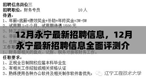 12月永宁最新招聘信息全面解析与评测介绍