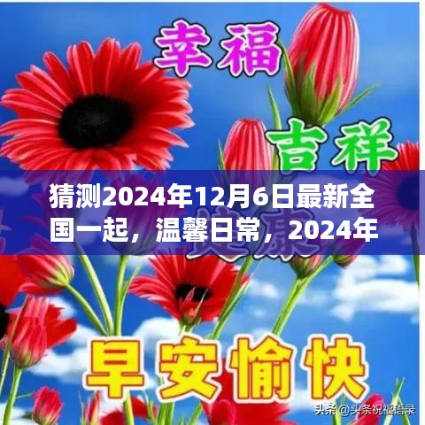 猜测2024年12月6日最新全国一起，温馨日常，2024年12月6日的神奇一天