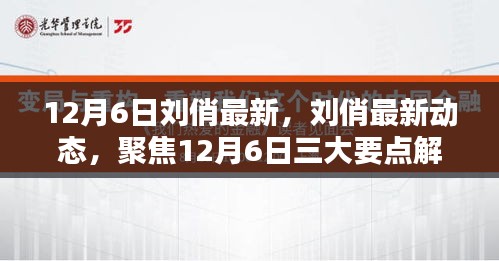 聚焦刘俏，最新动态与三大要点解析（12月6日版）