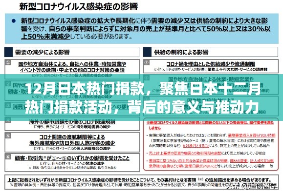 日本十二月热门捐款活动背后的意义与推动力探索