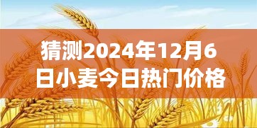 麦浪中的温情时光，一场关于小麦价格热门趋势的奇妙猜想之旅