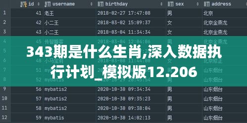 343期是什么生肖,深入数据执行计划_模拟版12.206