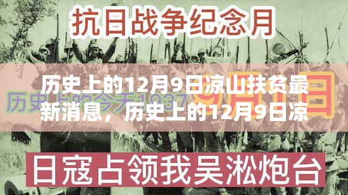 历史上的12月9日凉山扶贫动态大揭秘，最新消息与全面解读