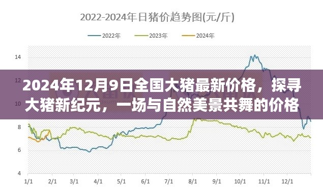 探寻大猪新纪元，全国最新价格与美景共舞的价格之旅（2024年12月9日）