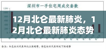 北仑地区十二月最新肺炎态势分析，多方观点与个人立场交织探讨