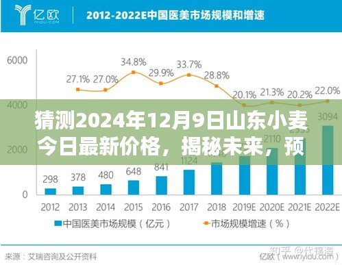 揭秘未来，预测山东小麦在2024年12月9日的最新价格走向及市场动态分析。