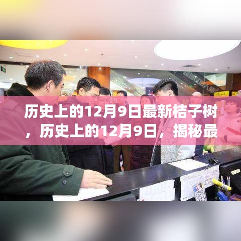 揭秘，最新桔子树的传奇故事——历史上的12月9日回顾