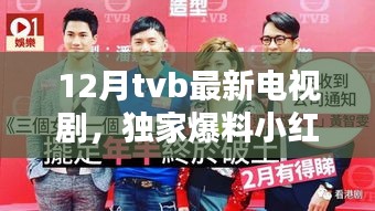 独家爆料！小红书推荐12月TVB最新电视剧大放送，精彩不容错过！