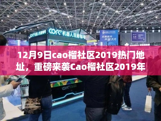 Cao榴社区2019年度热门地址揭秘，科技巨献引领未来生活潮流