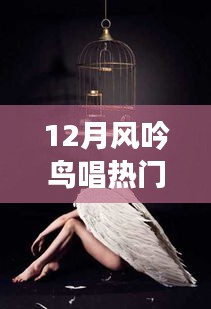 12月风吟鸟唱，学习变化中的自信与成就感之旅