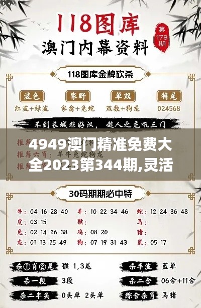 4949澳门精准免费大全2023第344期,灵活操作方案设计_Deluxe8.357