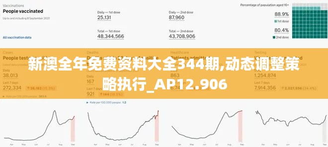 新澳全年免费资料大全344期,动态调整策略执行_AP12.906