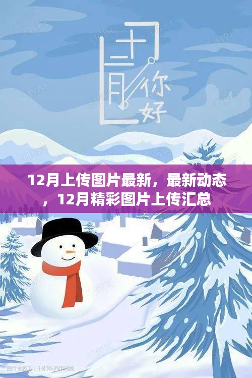 12月精彩图片上传汇总，最新动态与美图汇总