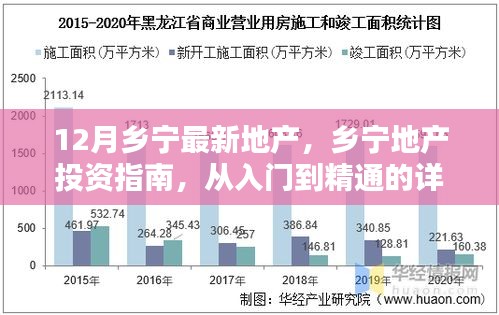 乡宁地产投资全攻略，从入门到精通的详细步骤与最新地产动态