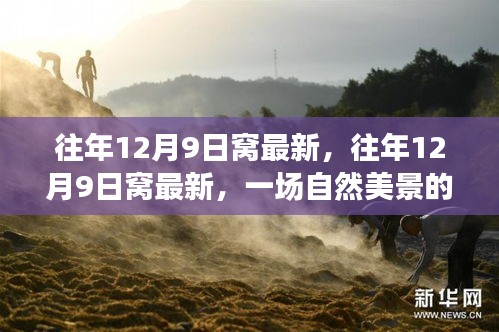 寻找心灵的宁静，一场自然美景的探秘之旅——往年12月9日的最新体验