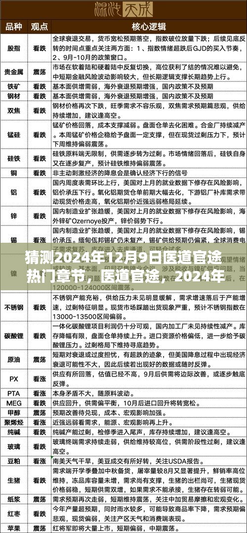 医道官途，2024年12月9日热门章节探微