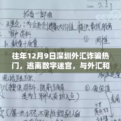 深圳外汇诈骗防范与内心宁静之旅，十二月九日的外汇迷宫与和平共处之道