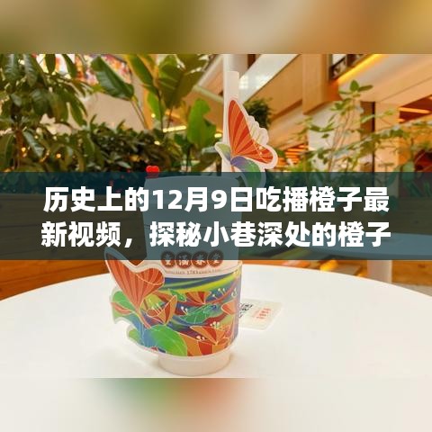 探秘橙子秘境，味蕾盛宴，橙子最新吃播视频上线！