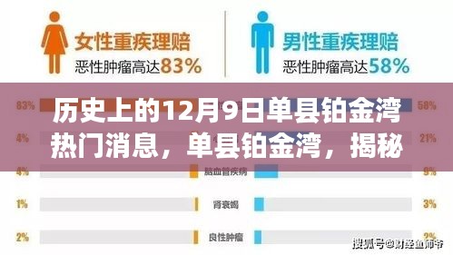 揭秘单县铂金湾历史上的十二月九日热门时刻与消息回顾