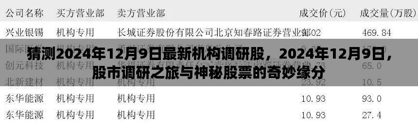 揭秘机构调研之旅，探寻神秘股票与股市的奇妙缘分（预测2024年12月9日最新动态）