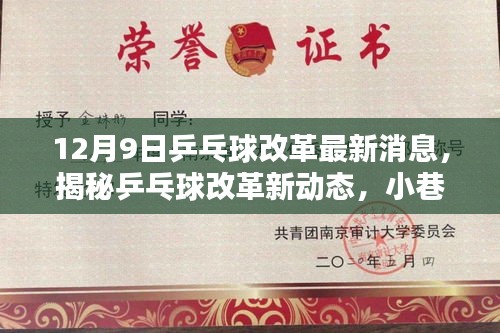 揭秘乒乓球改革新动态，乒乓奇缘与隐藏特色小店的发展更新（最新消息）