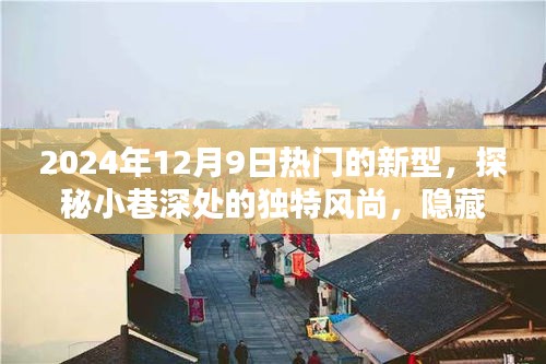 探秘小巷深处的独特风尚，隐藏在繁华背后的特色小店（2024年12月9日热门更新）