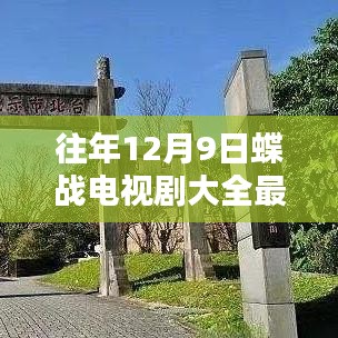 往年12月9日蝶战电视剧概览与深度解析