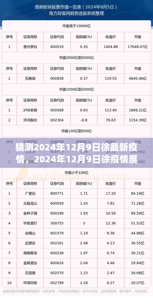 2024年12月9日徐地区疫情展望，背景、进展与影响分析