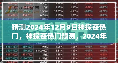 神探苍热门预测，2024年12月9日的猜想与期待